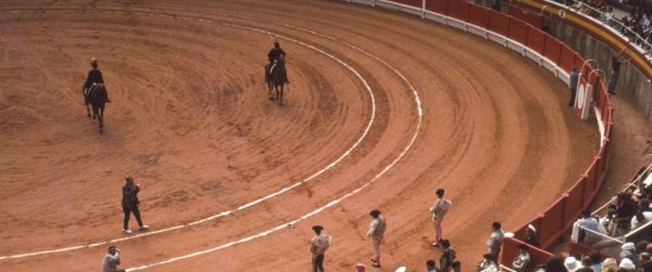Corrida, horse show Wallpaper 3440x1440