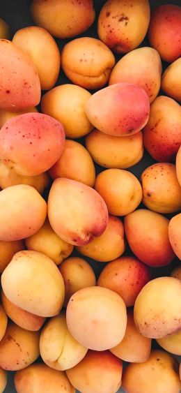 apricot, fruit Wallpaper 1080x2340