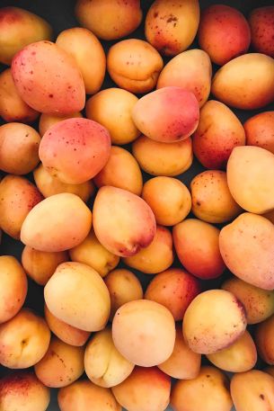 apricot, fruit Wallpaper 640x960