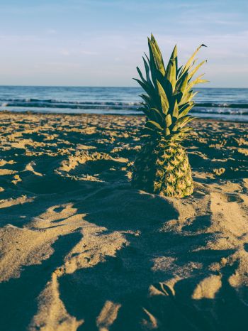 pineapple, fruit, beach Wallpaper 1668x2224
