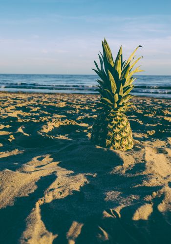 pineapple, fruit, beach Wallpaper 1668x2388