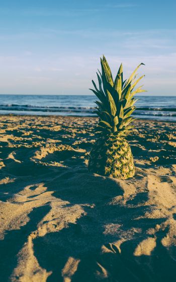 pineapple, fruit, beach Wallpaper 1752x2800