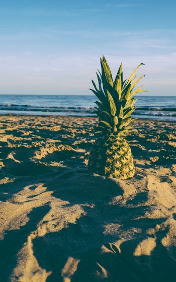 pineapple, fruit, beach Wallpaper 800x1280
