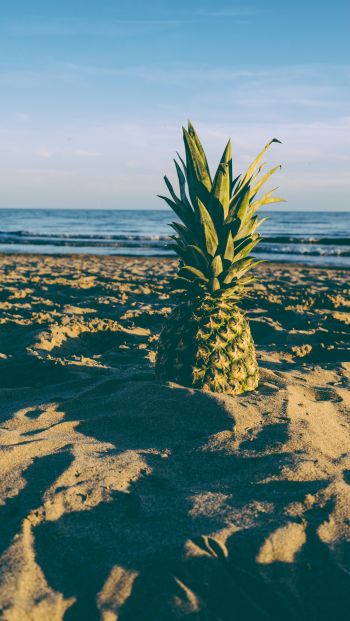 pineapple, fruit, beach Wallpaper 640x1136