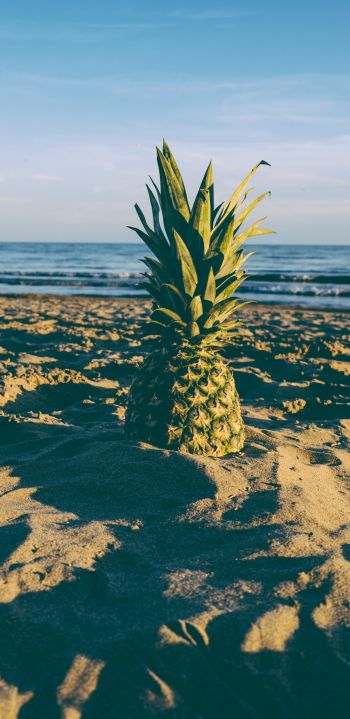 pineapple, fruit, beach Wallpaper 1080x2220
