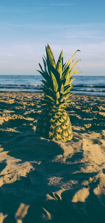 pineapple, fruit, beach Wallpaper 720x1520