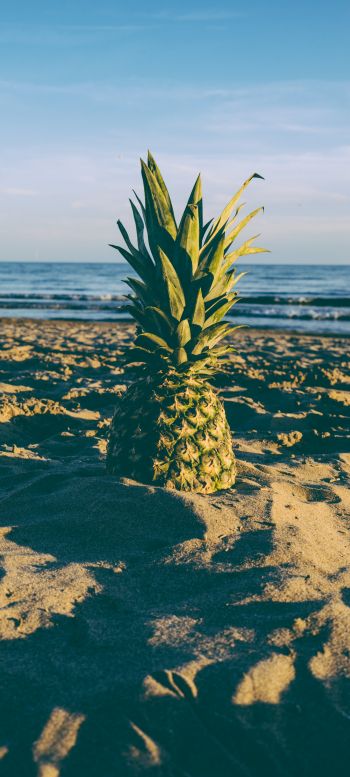 pineapple, fruit, beach Wallpaper 720x1600