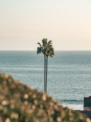 Corona del Mar, Newport Beach, California Wallpaper 2048x2732