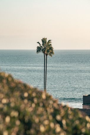 Corona del Mar, Newport Beach, California Wallpaper 3886x5829