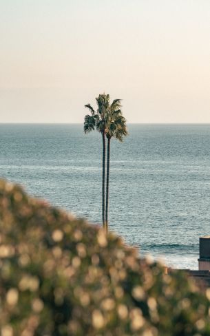 Corona del Mar, Newport Beach, California Wallpaper 800x1280