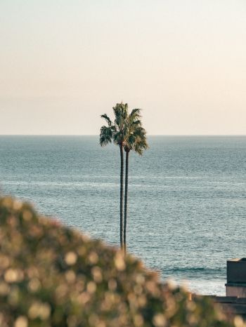 Corona del Mar, Newport Beach, California Wallpaper 1536x2048