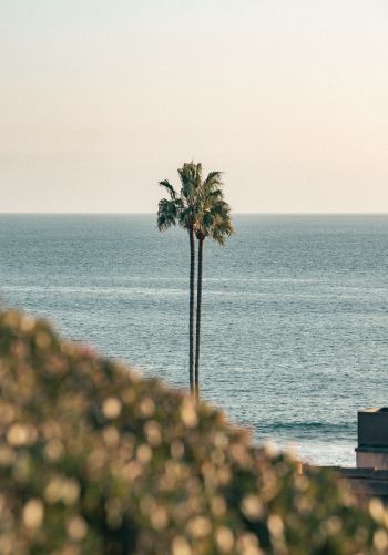 Corona del Mar, Newport Beach, California Wallpaper 1668x2388