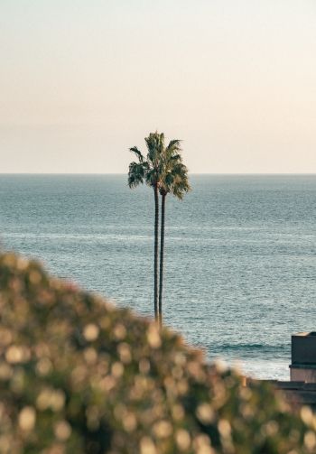 Corona del Mar, Newport Beach, California Wallpaper 1640x2360