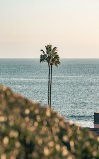 Corona del Mar, Newport Beach, California Wallpaper 800x1280