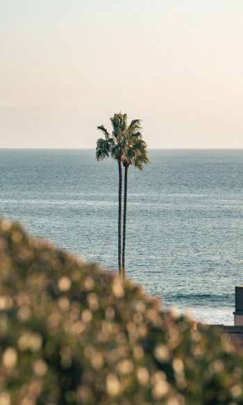 Corona del Mar, Newport Beach, California Wallpaper 1200x2000
