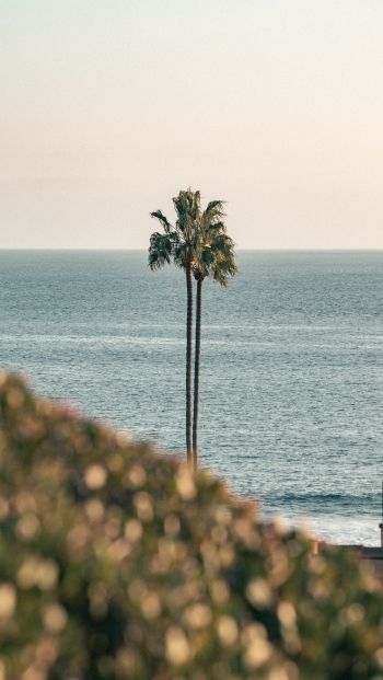 Corona del Mar, Newport Beach, California Wallpaper 640x1136