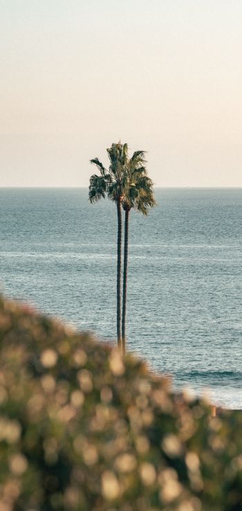 Corona del Mar, Newport Beach, California Wallpaper 1080x2280