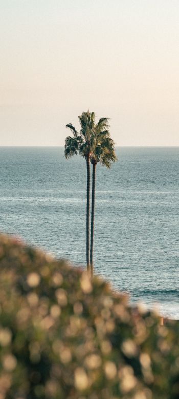 Corona del Mar, Newport Beach, California Wallpaper 1080x2400
