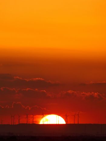 Weinheim, Germany, sunset Wallpaper 1668x2224