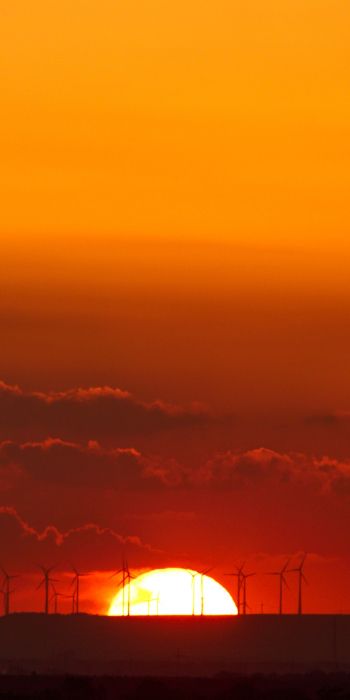 Weinheim, Germany, sunset Wallpaper 720x1440