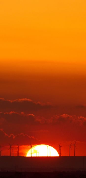 Weinheim, Germany, sunset Wallpaper 1080x2220