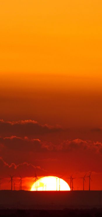 Weinheim, Germany, sunset Wallpaper 720x1520