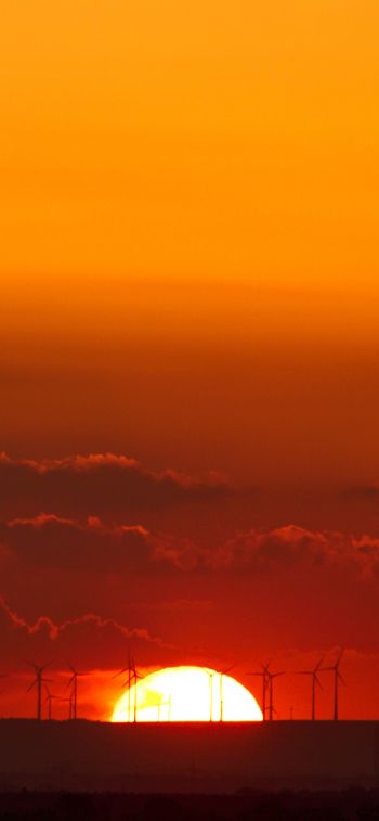 Weinheim, Germany, sunset Wallpaper 1284x2778