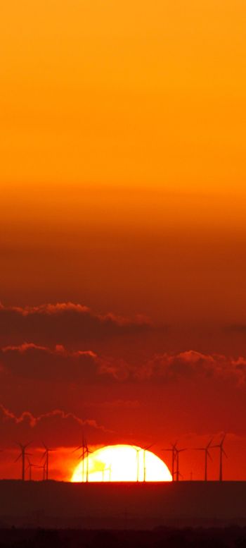 Weinheim, Germany, sunset Wallpaper 1080x2400