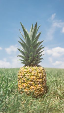 pineapple, fruit Wallpaper 1080x1920