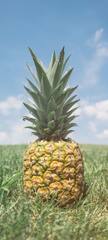 pineapple, fruit Wallpaper 1080x2400