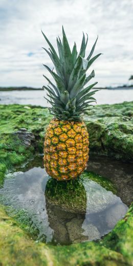 pineapple, fruit Wallpaper 720x1440