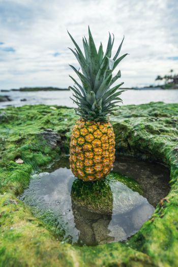 pineapple, fruit Wallpaper 640x960