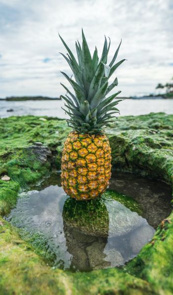 pineapple, fruit Wallpaper 600x1024