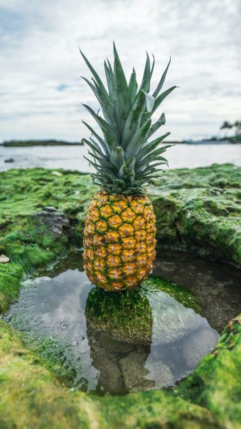 pineapple, fruit Wallpaper 640x1136