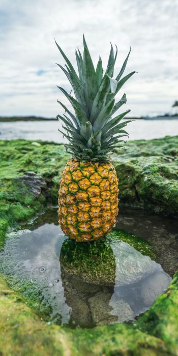 pineapple, fruit Wallpaper 720x1440