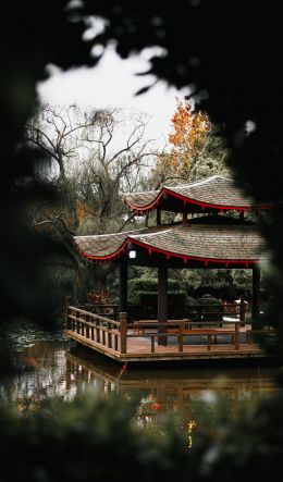 Japan, sad Wallpaper 600x1024