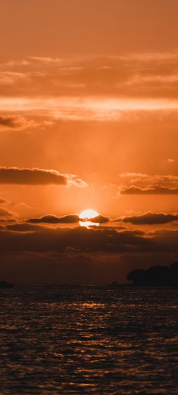 sunset, sun, sea Wallpaper 1440x3200