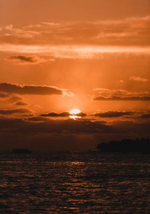 sunset, sun, sea Wallpaper 1668x2388