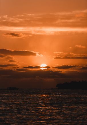 sunset, sun, sea Wallpaper 1640x2360