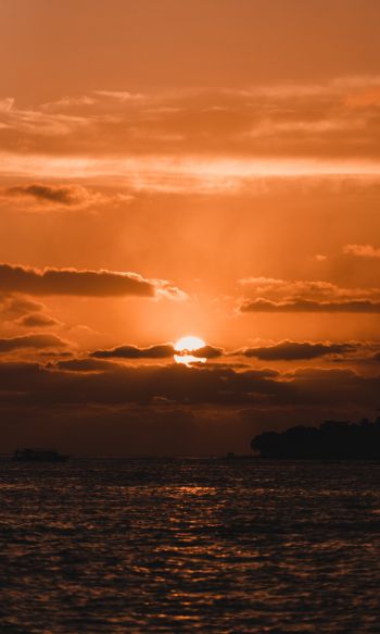 sunset, sun, sea Wallpaper 1200x2000