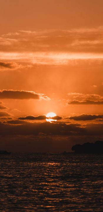 sunset, sun, sea Wallpaper 1440x2960