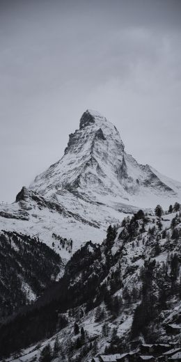 snow mountain, forest Wallpaper 720x1440