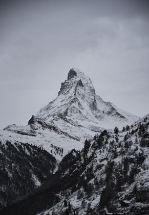 snow mountain, forest Wallpaper 1640x2360