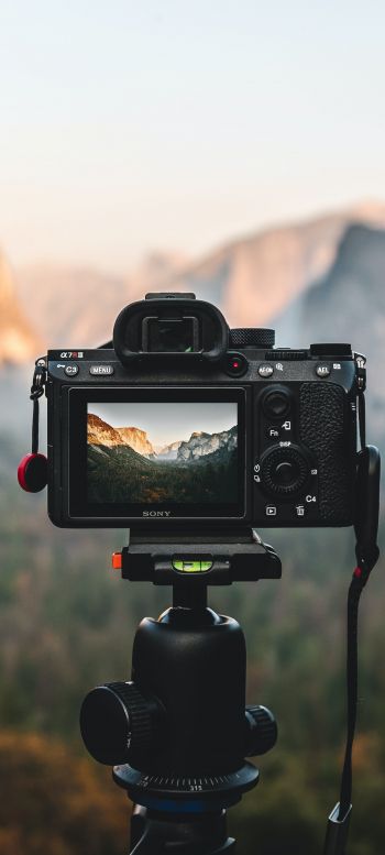 camera, shooting outdoors Wallpaper 1440x3200