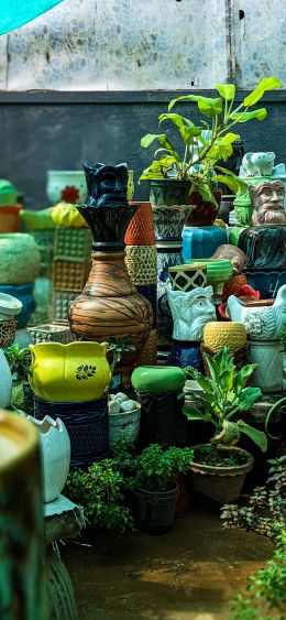 Karnataka, India, flower pots Wallpaper 1080x2340