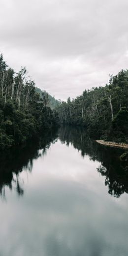 river, wild nature Wallpaper 720x1440