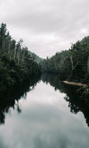 river, wild nature Wallpaper 1200x2000