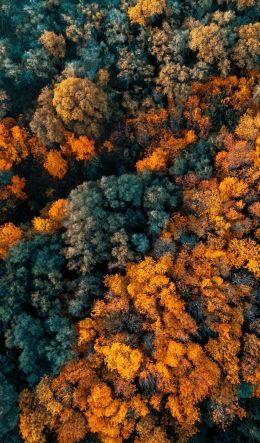 Olavarria, Province of Buenos Aires, Argentina Wallpaper 600x1024