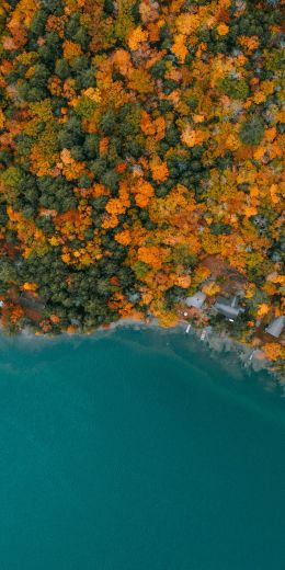 New Hampshire, USA Wallpaper 720x1440