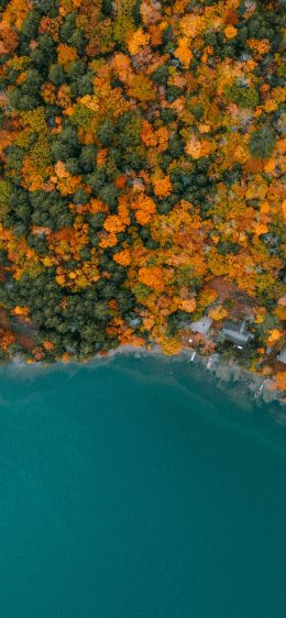 New Hampshire, USA Wallpaper 1170x2532